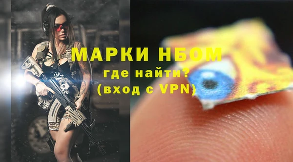 стафф Алзамай