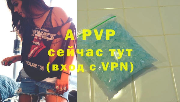 стафф Алексин