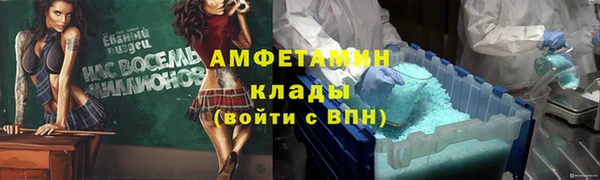 стафф Алексин