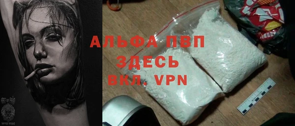 стафф Алзамай