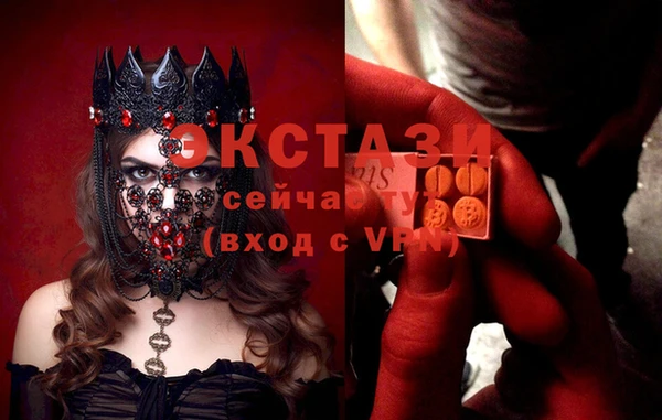 стафф Алексин