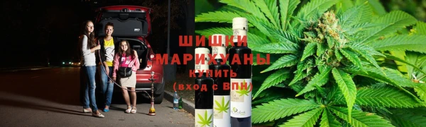 стафф Алзамай